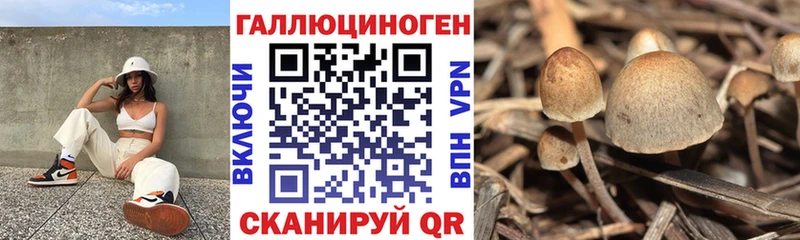 Галлюциногенные грибы мухоморы  Игарка 